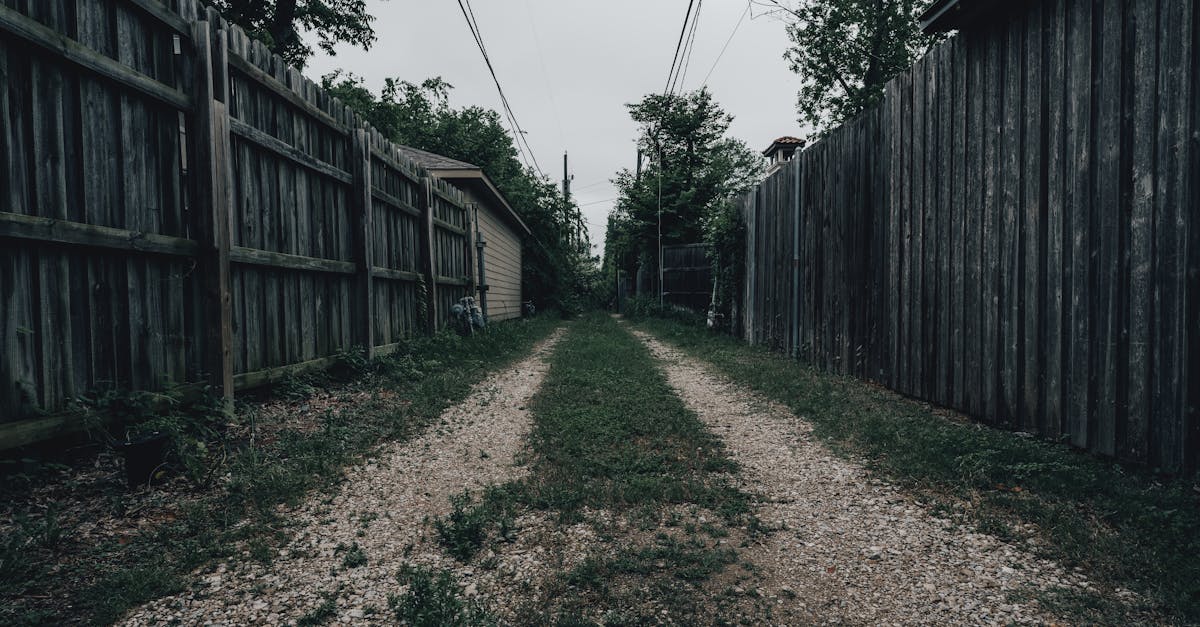 雑草のない美しい庭