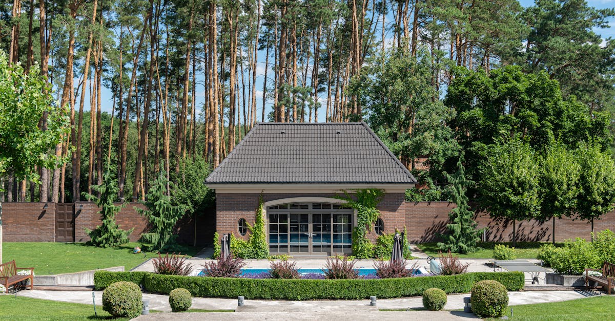 整った庭の風景