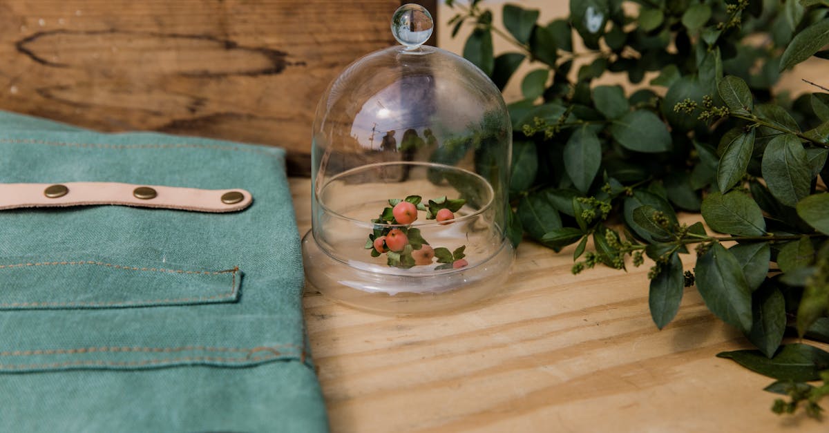 庭の手入れ道具