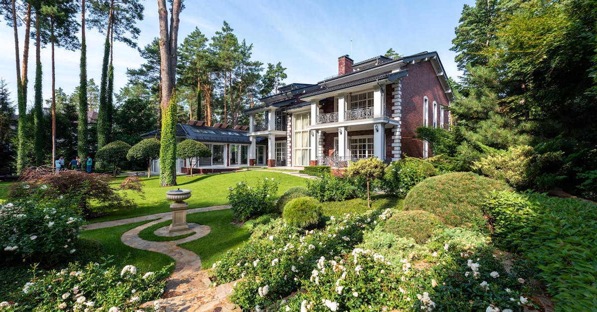 きれいに手入れされた夏の庭