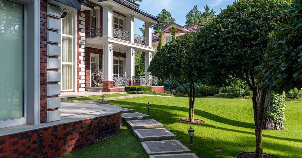 手入れの行き届いた広い庭