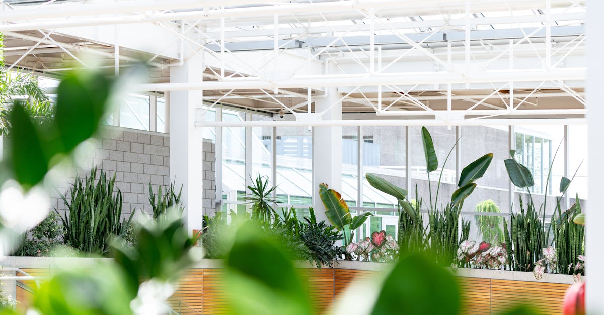 きれいに整えられた庭の風景