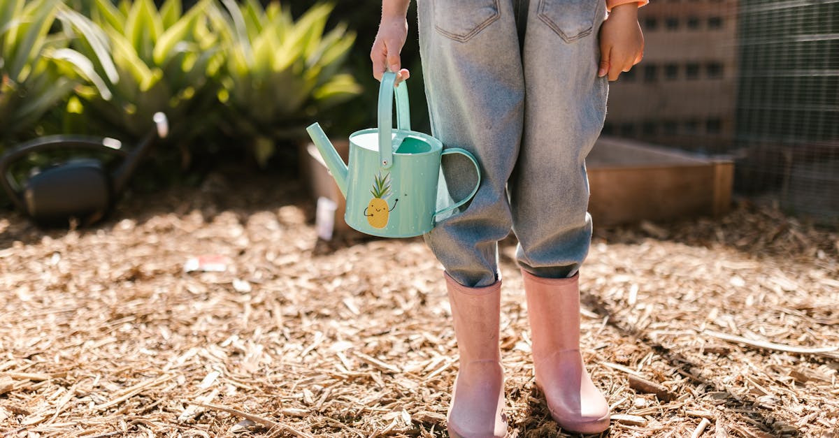 きれいに整備された庭木の足元