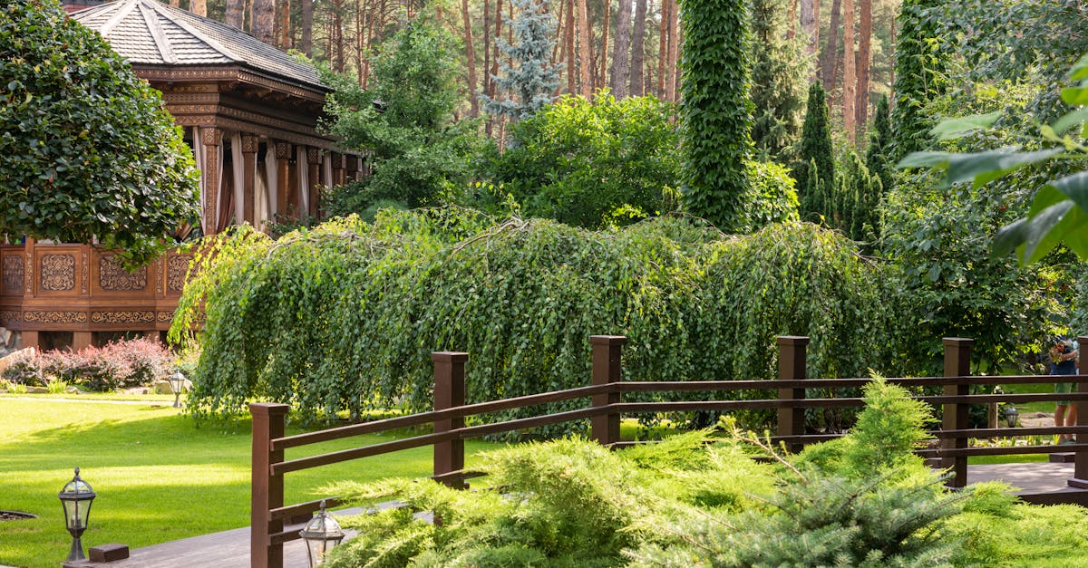 雑草対策が施された美しい庭