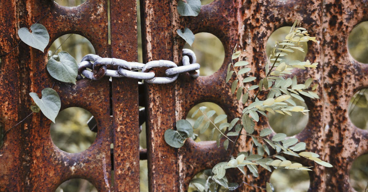 フェンスの下の雑草