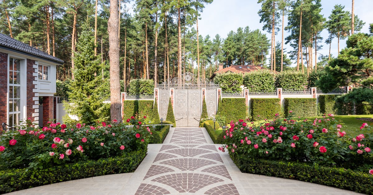 理想の花壇をキープするための雑草対策を徹底解説