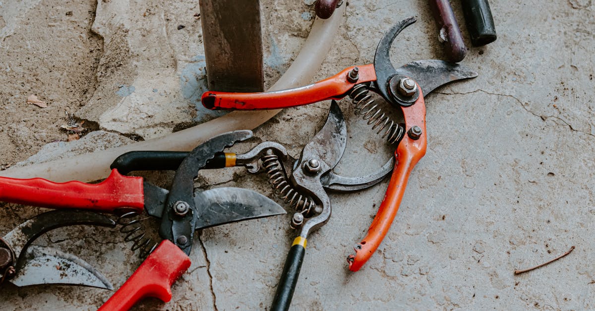 家族で過ごす庭