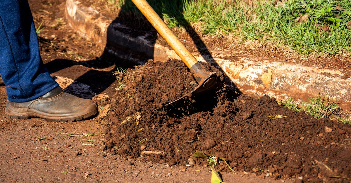 庭の整備を行う様子