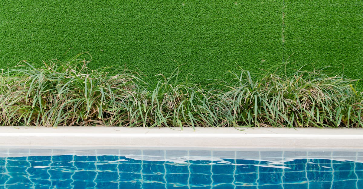 手入れの行き届いたお庭のイメージ