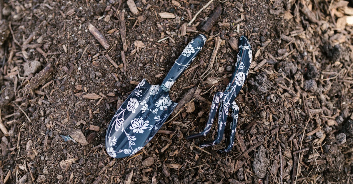 雑草対策の道具