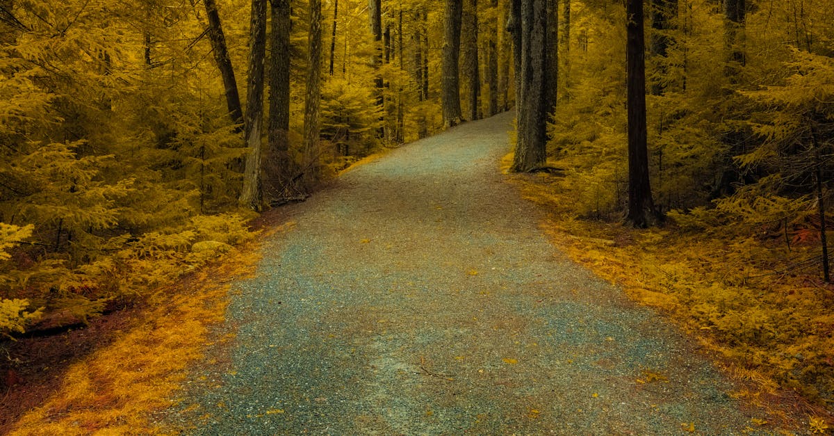 防草シートと砂利の施工例