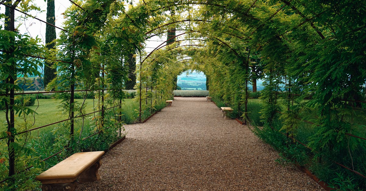 雑草対策の工夫