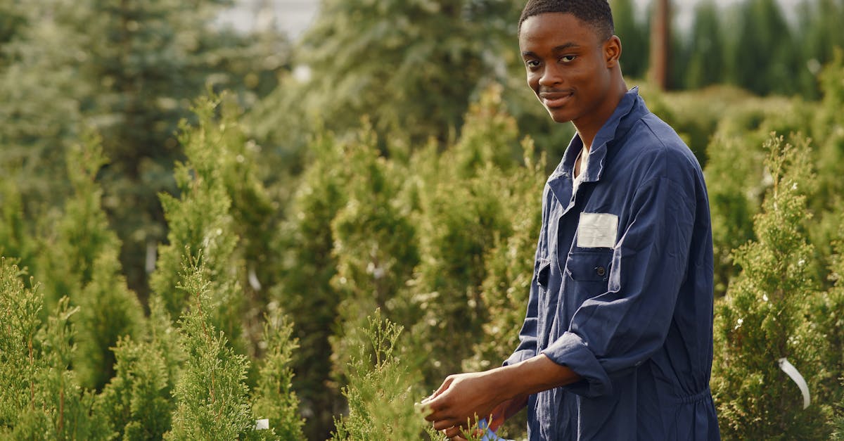 木の手入れをする様子