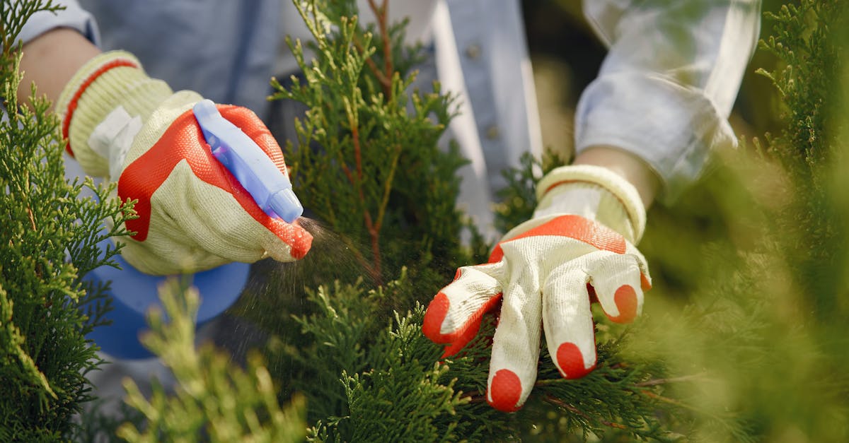 庭の手入れをするガーデナー