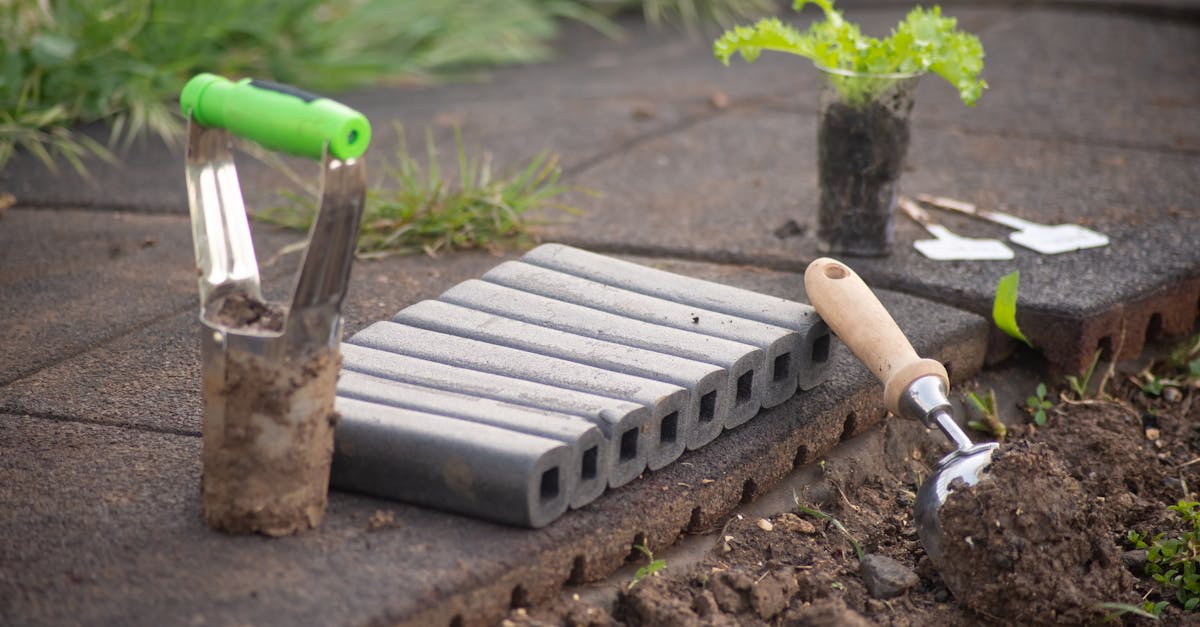 雑草対策の準備