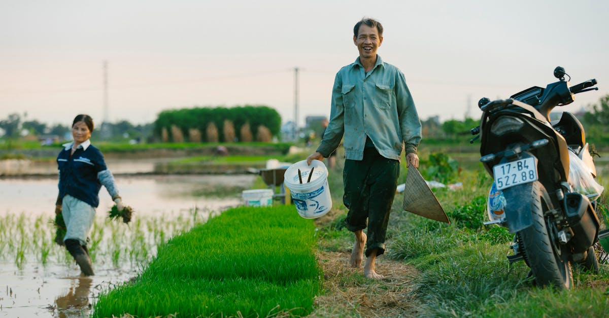 効率的な雑草対策を行う農家