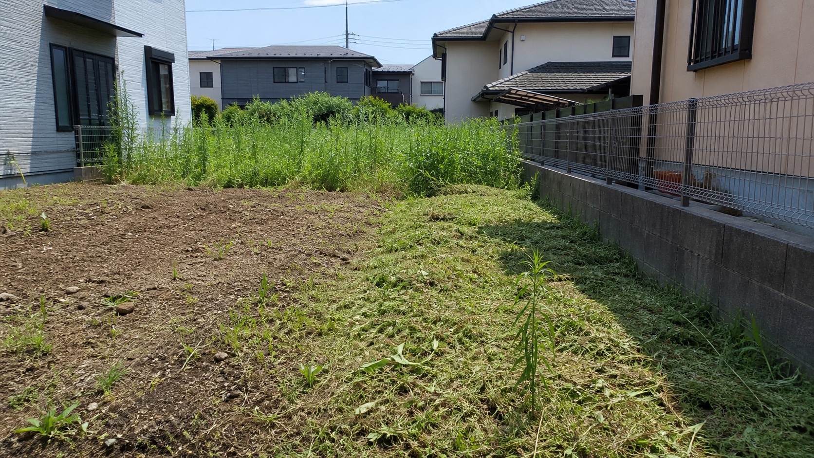 グランドカバーより先に草刈りが必要な荒れた空き地
