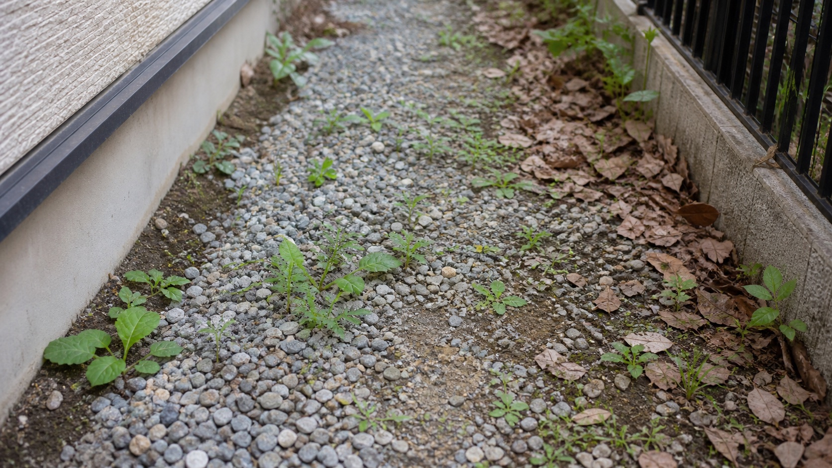 砂利だけの雑草対策で草が生える失敗原因
