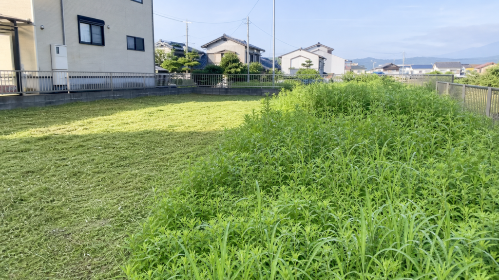 空き地の雑草対策で草刈り後と雑草が残る区画を比較した様子