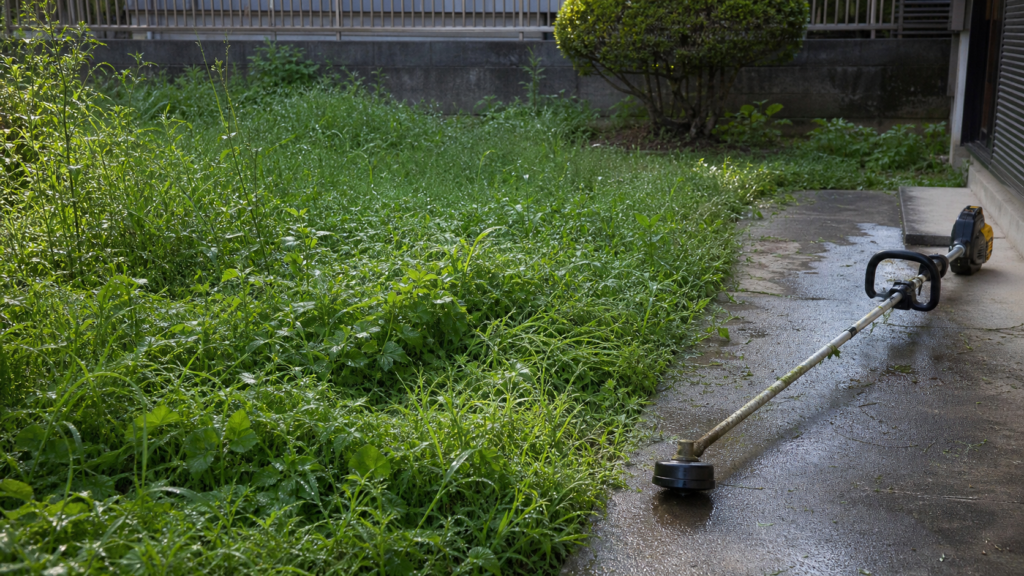 雨上がりの濡れた庭と草刈機