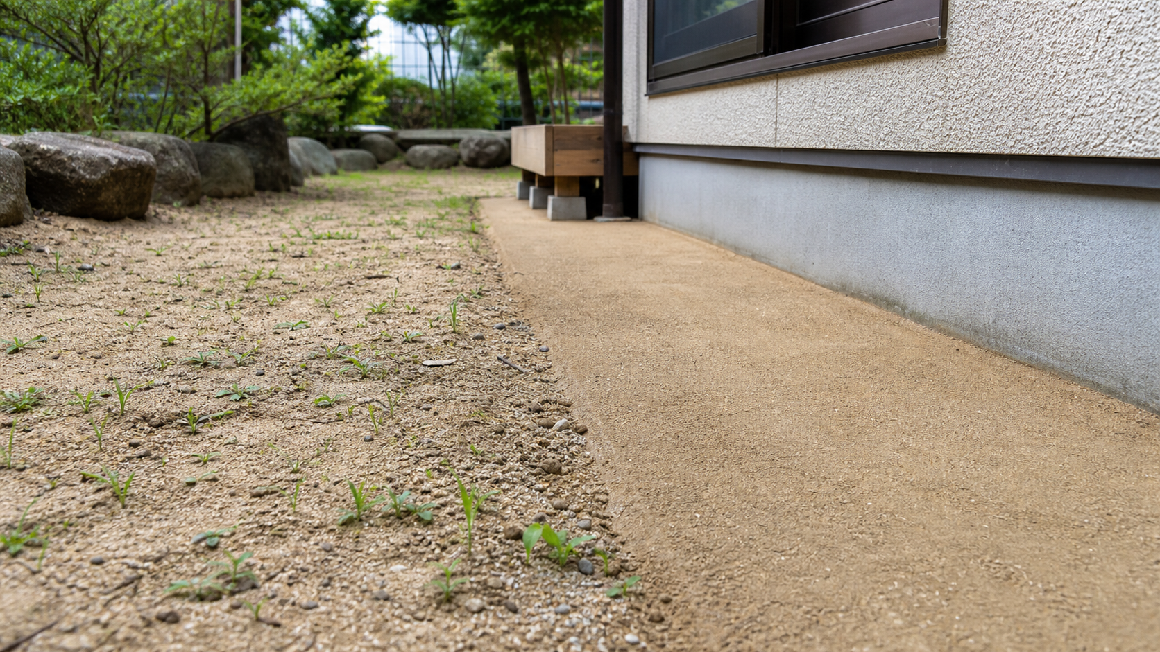 砂だけの地面から雑草が出る場所と固まる砂の通路の比較