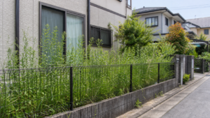 雑草が伸びた隣家の庭と住宅街の境界フェンス