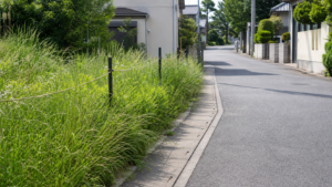 道路にはみ出した雑草が通行の妨げになる住宅街の道路