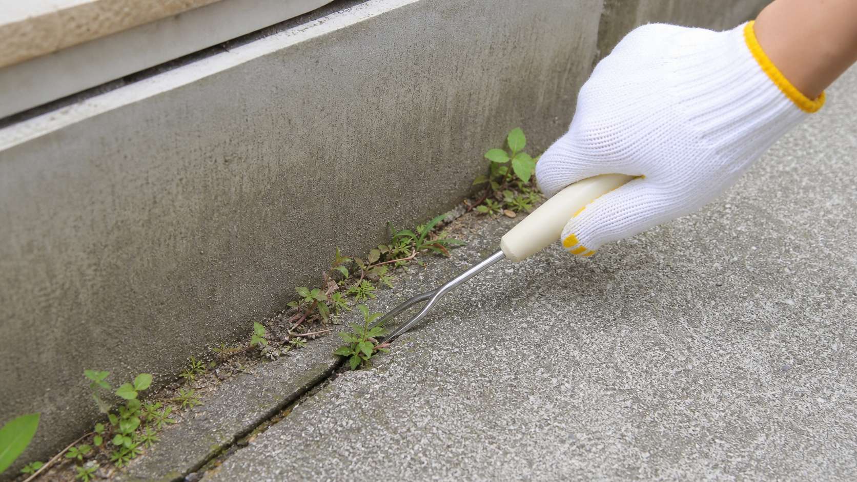 100均の草抜き道具でコンクリート隙間の雑草を抜く手順