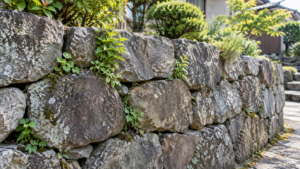 石垣の隙間から雑草が生える住宅の石積み