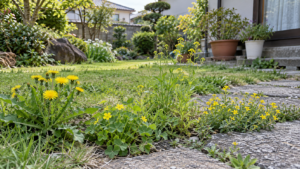 庭に咲く黄色い花の雑草を見分ける