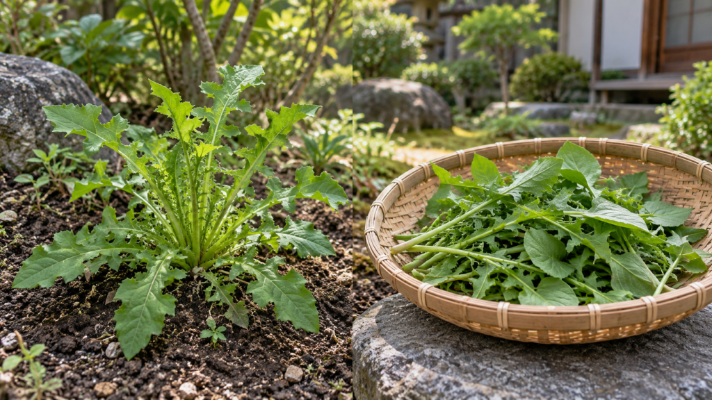 根付きの雑草と、刈り取ってかごに入れた草を並べた説明イメージ